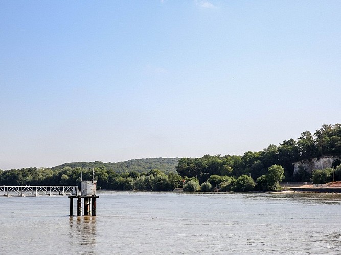 Randonnée Caux Vallée de Seine Bords de Seine (3)