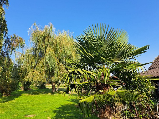 Relais de la Charreterie M. THIRARD Heurteauville 3