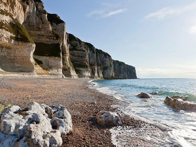 Etretat-2017-51©SMA-H.Zangl