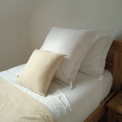 Chambre cheminée (7)