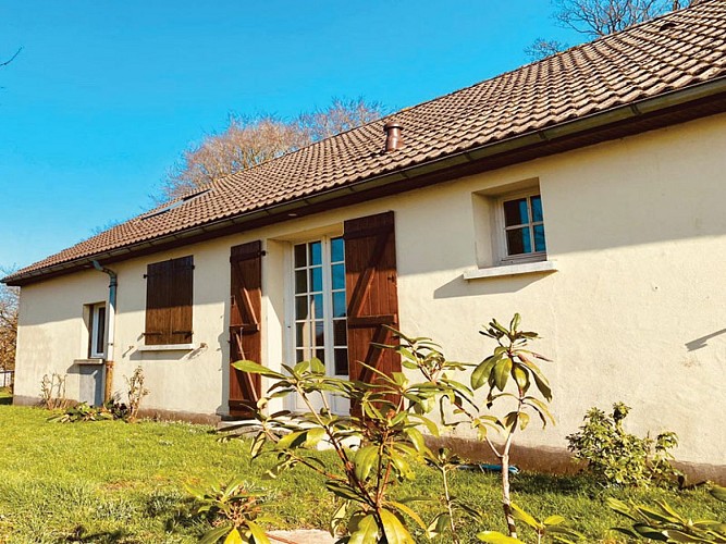 Erable-Champêtre-600x800--1