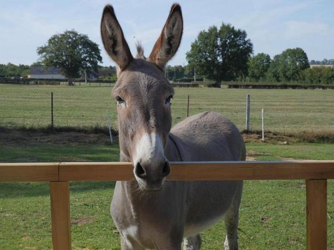 Gîtes de France® - Le Petit Giteopré