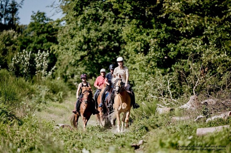 Ecurie de la Forêt de Lyons