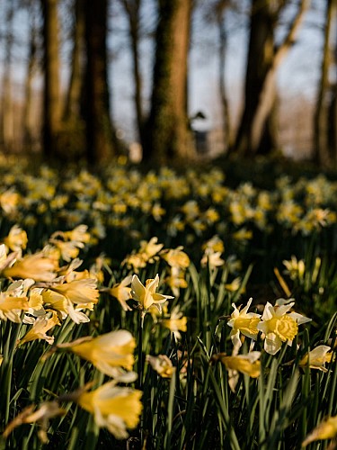 Le Cottage - Bordeaux-St-Clair 