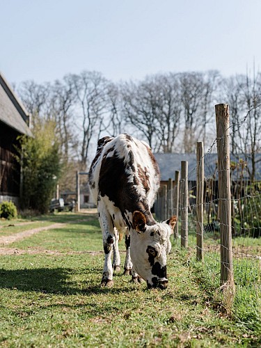 Le Cottage - Bordeaux-St-Clair 