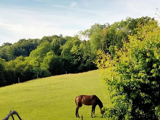 Gîtes de France® - Le P'tit Gîte de l'Arbalète