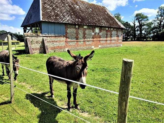 Gîtes de France® - Paprika