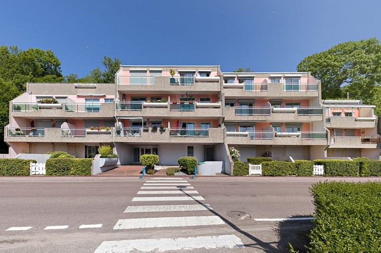 HLO_st-valery_goeland©dubosc-2024 (1)