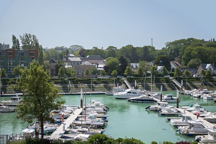 HLO_st-valery_goeland©dubosc-2024 (4)