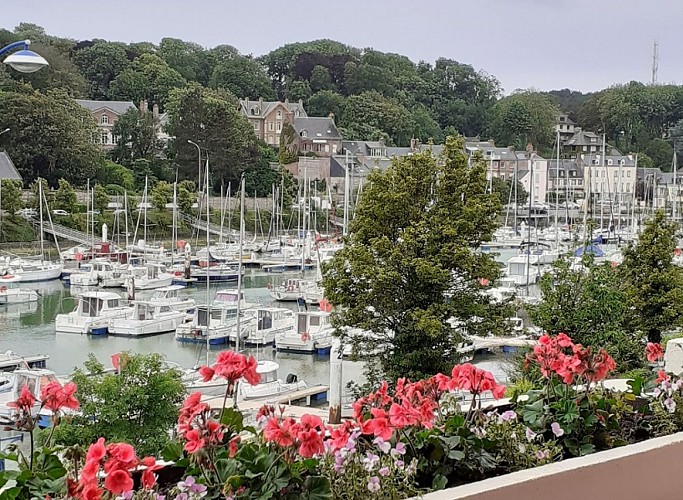 HLO_st-valery-mouette©dubosce-2022 (4)bis