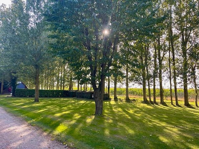 Camping La Berquerie - Le Mesnil-Réaume