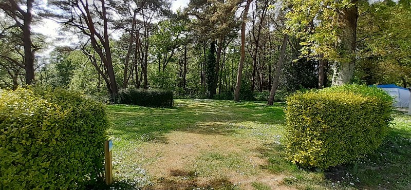 CAMPING LES FALAISES DE TOUSSAINT - TOUSSAINT - 2022