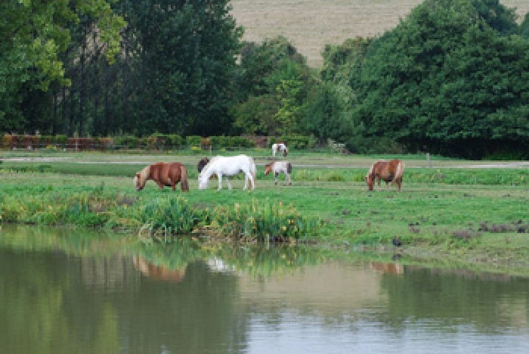 Camping Le Marqueval - Hautot-Sur-Mer