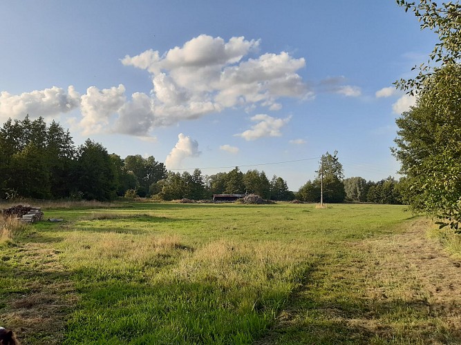 Emplacement pâture de l'île 1