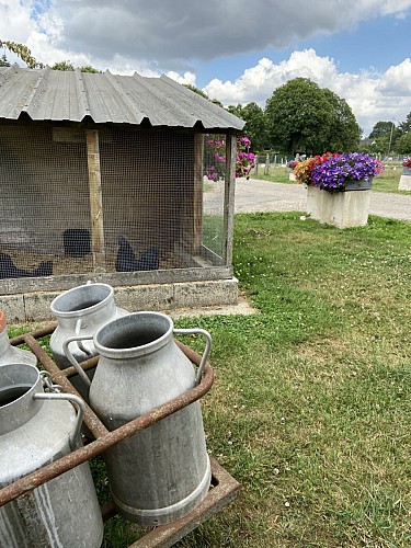 Ferme des Chataigniers - ©AL - 2020 - CATENAY - produits du terroir - ferme (1)