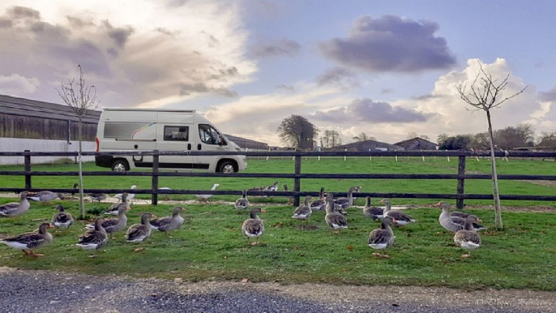 HPA_criquetot_aire-ferme©jourdain-2022 (4)