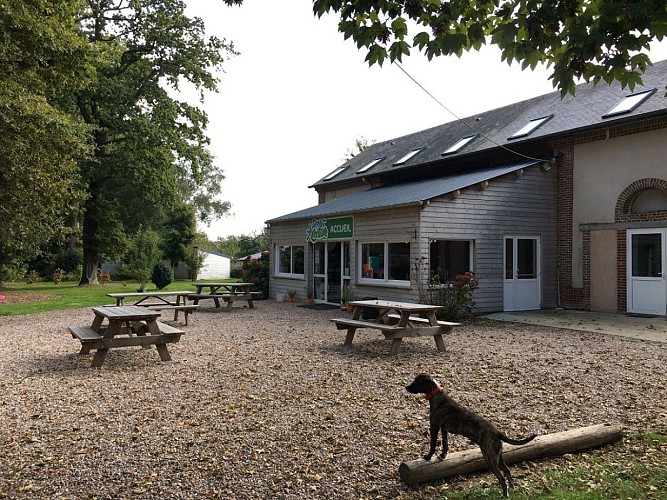 ACCROBRANCHE - ETRETAT AVENTUTE - LES LOGES (4)