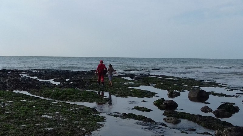 veulettes-sur-mer-2017-jourdain--1-redim