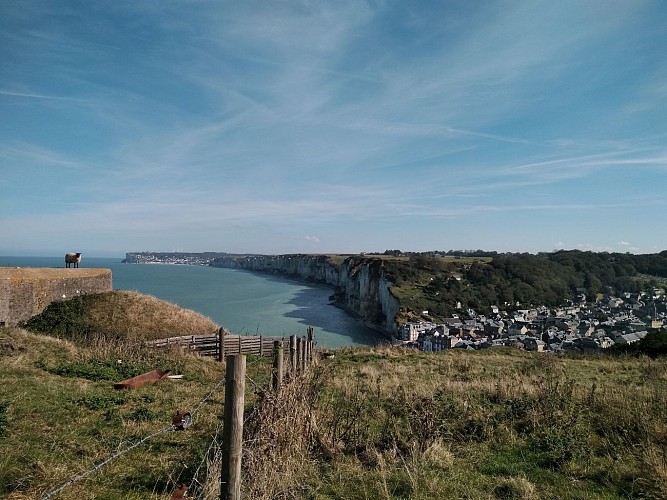 Mouton Perché1 - YPORT OCTOBRE 2021 - CREDIT OIT FECAMP -