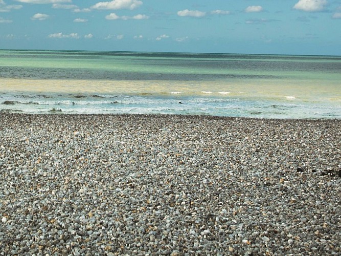 Côte d'Albâtre (800 x 600)