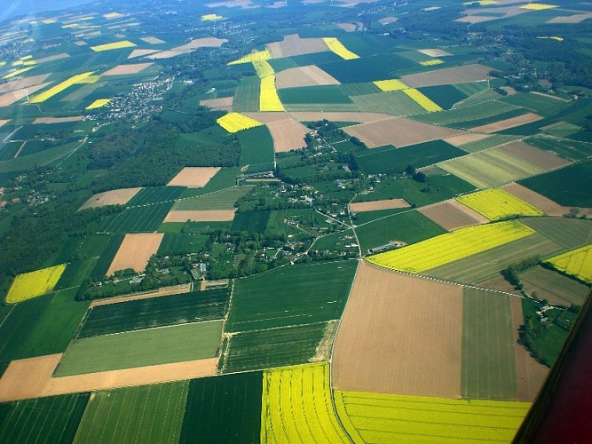Aéroclub de Dieppe - Saint Aubin sur Scie - Les champs de colza en avril
