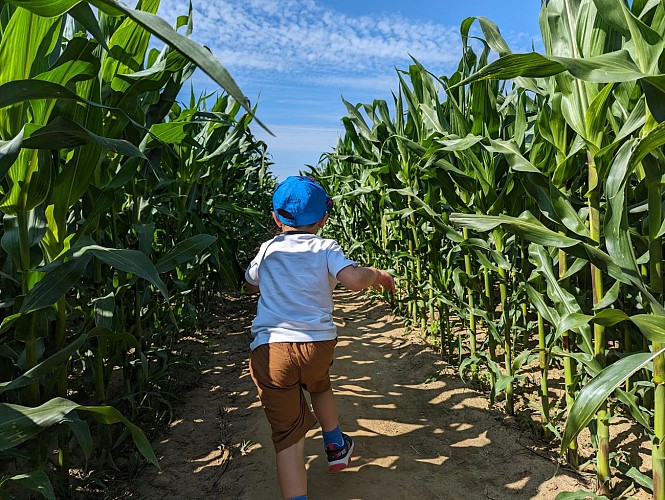 LABYRINTHE DES DALLES - SASSETOT-LE-MAUCONDUIT - 2023