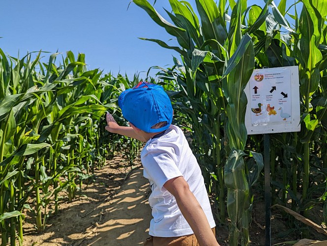 LABYRINTHE DES DALLES - SASSETOT-LE-MAUCONDUIT - 2023