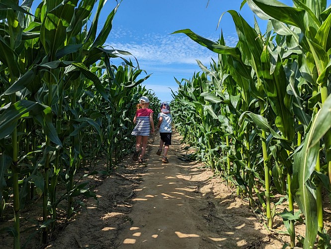 LABYRINTHE DES DALLES - SASSETOT-LE-MAUCONDUIT - 2023