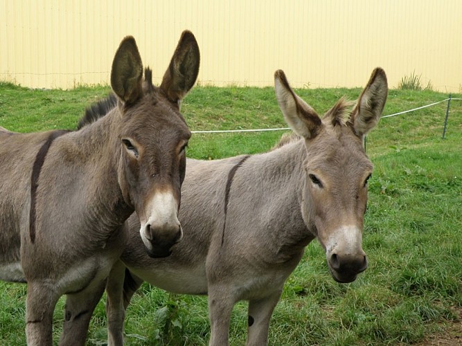 La  Ferme des Falaises