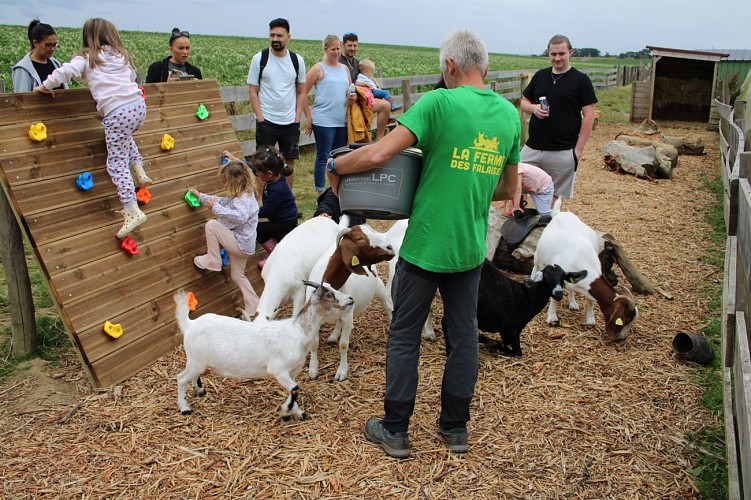 La Ferme des Falaises - Saint-Jouin-Bruneval