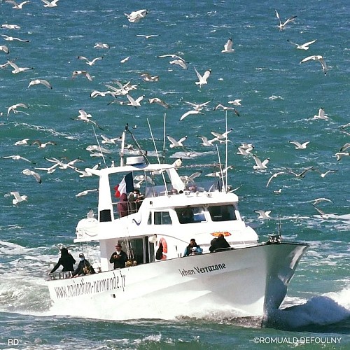 Retour de pêche du bateau Jehan Verazzane
