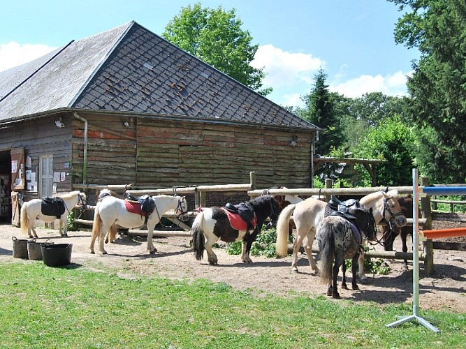  Domaine des Hellandes - Angerville l'Orcher