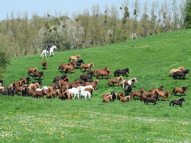 2-Ferme équestre de Bois-Guilbert