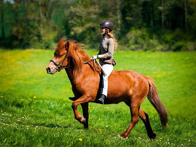 1-Ferme équestre de Bois-Guilbert