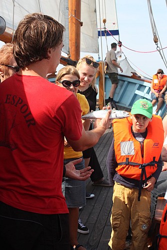 SORTIE EN MER SUR VIEUX GREEMENT - FÉCAMP 