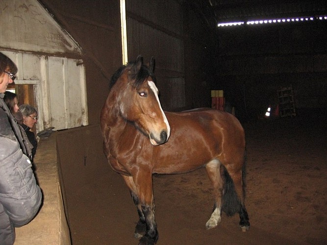 HLO-cany-barville-cavale-merens-otpcm-2019