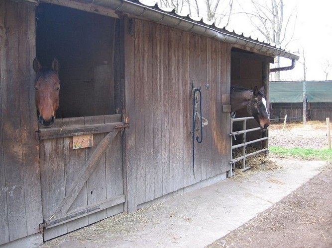 LOI Cavale Merens - Cany Barville