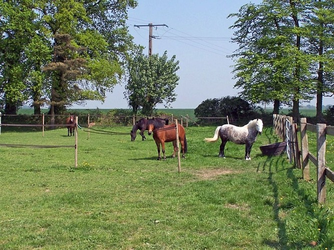 LOI-rocquefort-centre-equestre-otpcm-2019