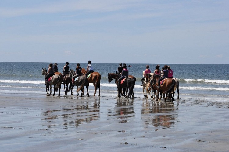 CENTRE EQUESTRE LES CENTAURES - VATTETOT-SUR-MER