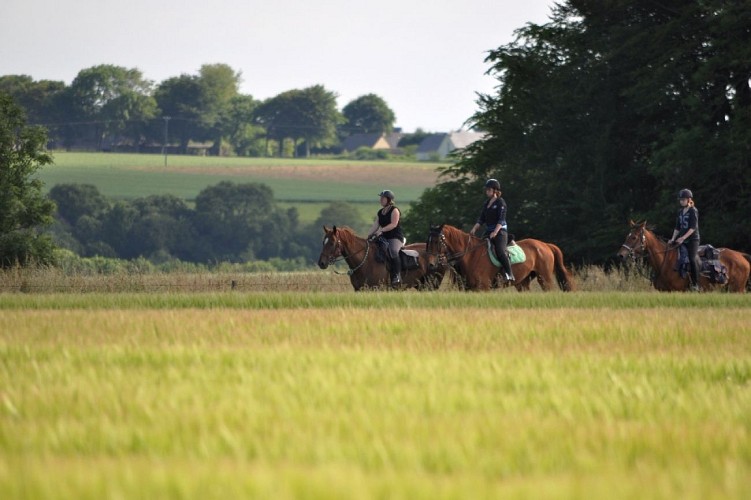 CENTRE EQUESTRE LES CENTAURES - VATTETOT-SUR-MER