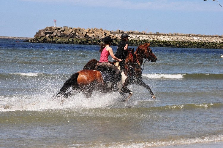 CENTRE EQUESTRE LES CENTAURES - VATTETOT-SUR-MER