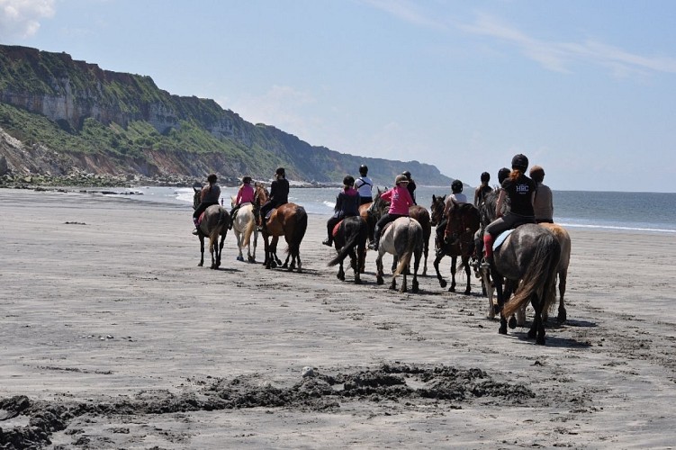 Centre équestre Les Centaures