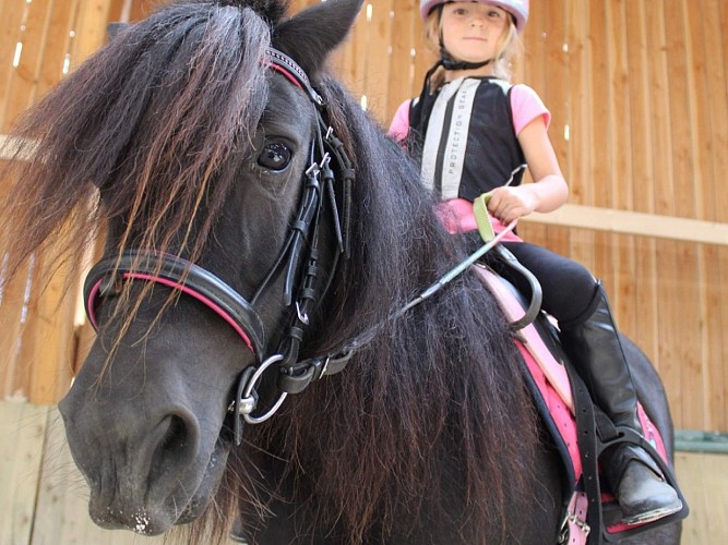 2- Annouv'Equid - Annouville Vilmesnil (1200x900)