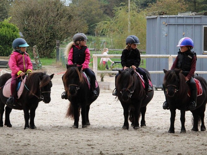 Annouv'Equid - Annouville Vilmesnil 