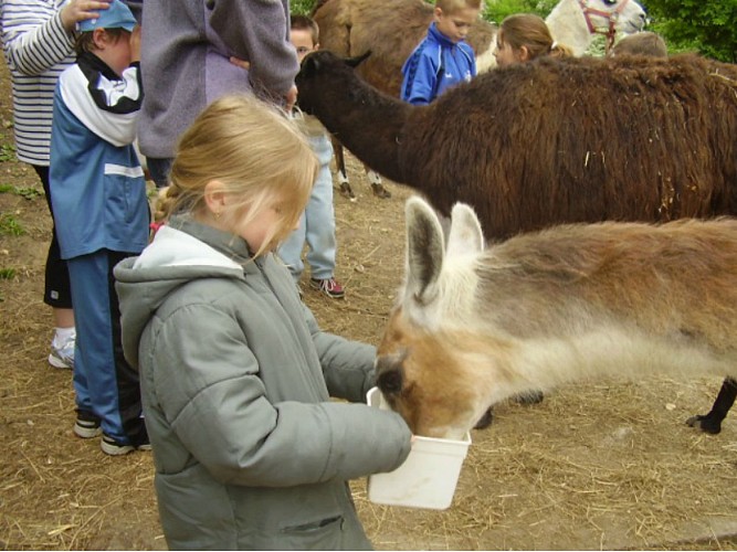 Ferme du Tipi écuries du bois d'Harcourt 1 bis