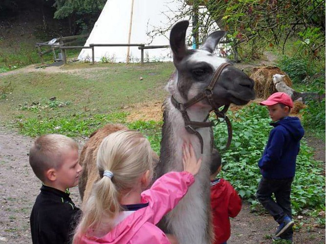 Ferme du Tipi écuries du bois d'Harcourt 2 bis