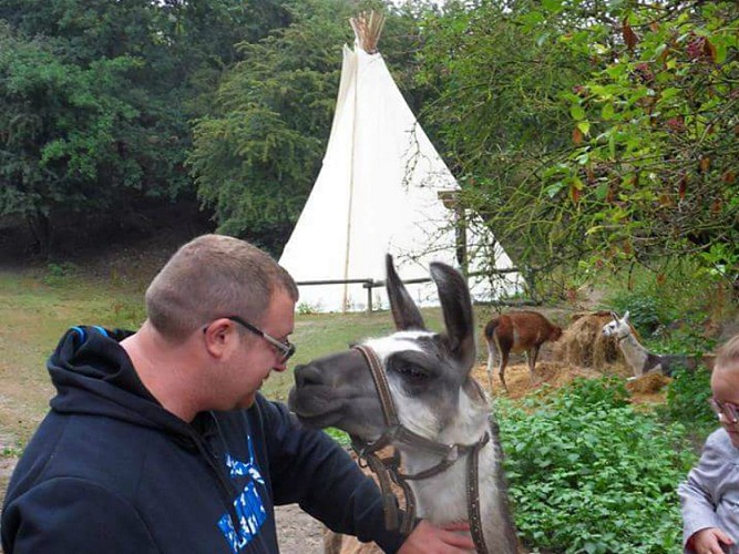 Ferme du tipi écuries du bois d'Harcourt 4 bis