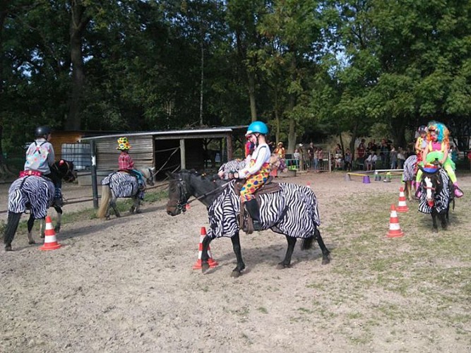 Ferme du Tipi écuries du bois d'Harcourt les petits zebres porte ouvertes bis