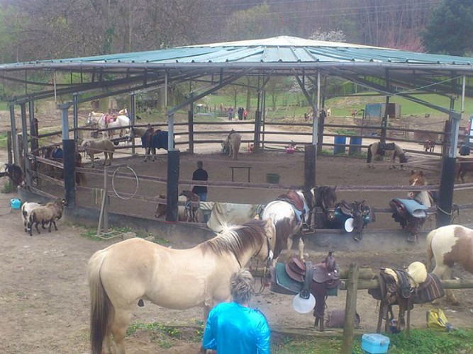 Manege-Porte-ouvrte-tous-les-chevaux-ferme-du-tipi-ferme-du-tipi 2018