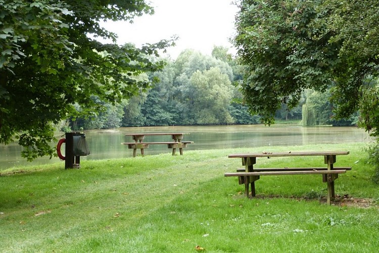 Des espaces aménagés pour se restaurer en plein-air